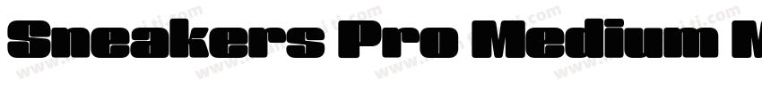 Sneakers Pro Medium Medium字体转换